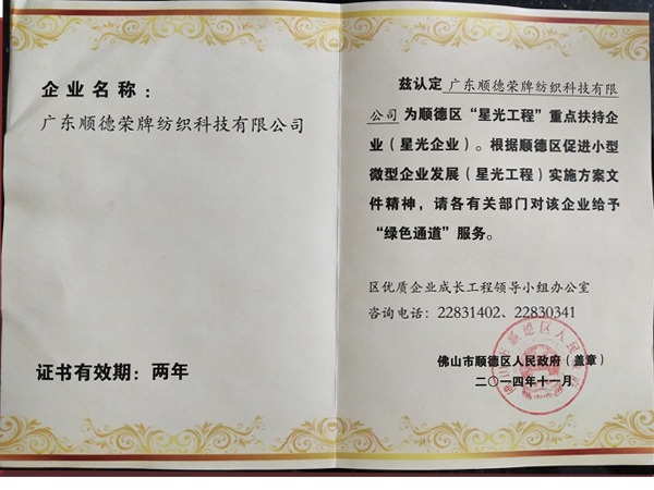 九州酷游荣获政府重点扶持企业